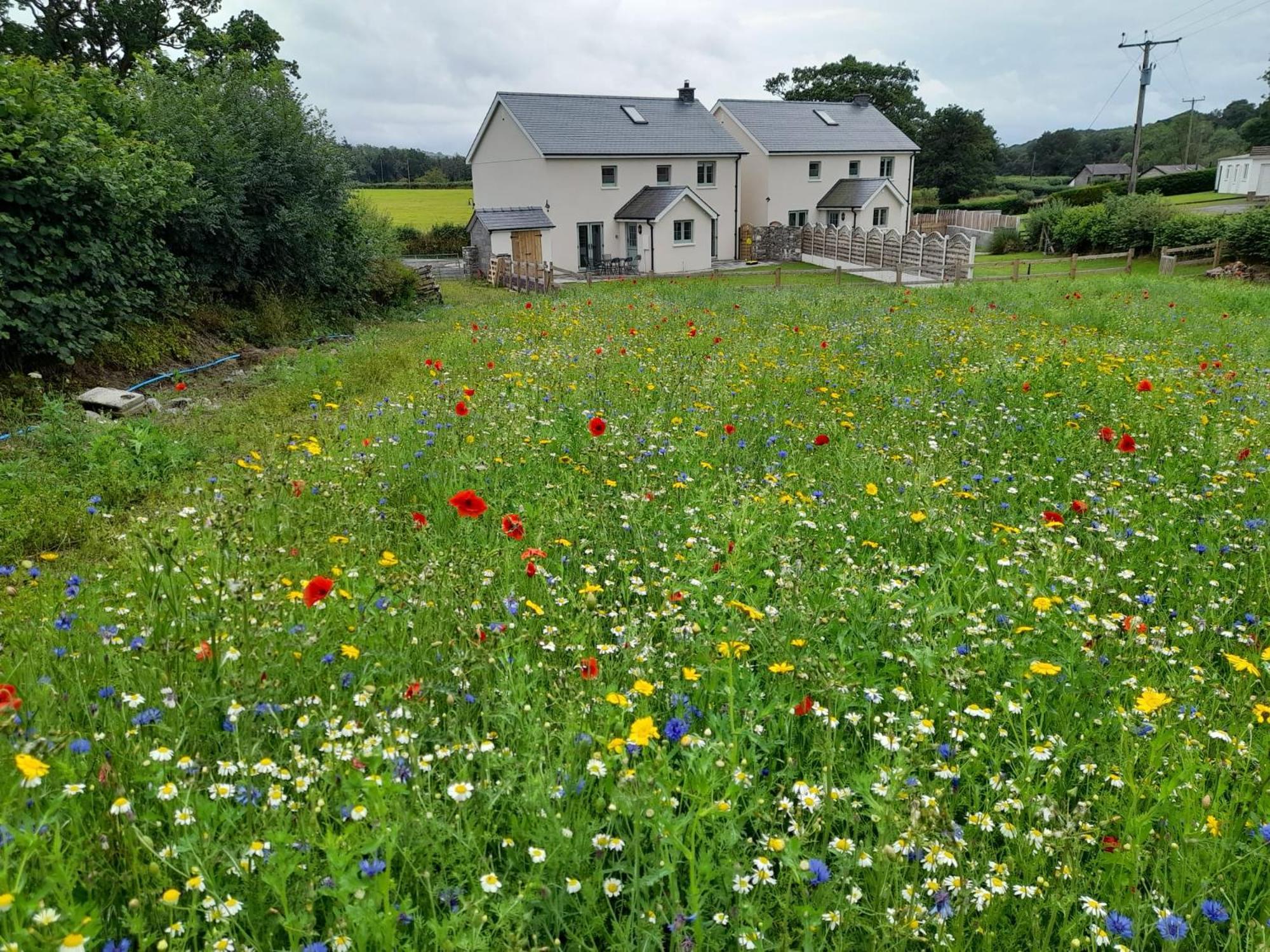 Family Country Cottage With Stunning Mountain Views Myddfai Exterior foto